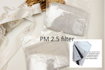 PM 2.5 filter (pack of 10)